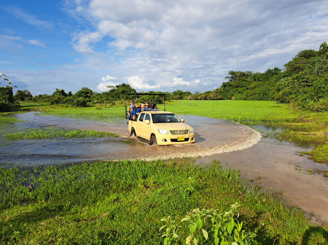 Wild Llanos Tours and Safaris-Yopal必去景点