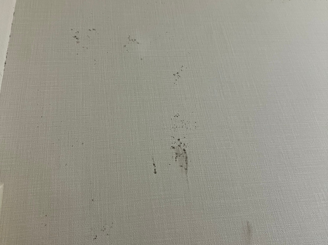 Crowne Plaza Cleveland Airport By IHG主图