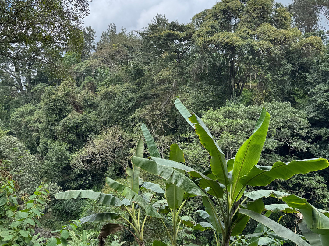 Ifulong Cultural Tourism-阿鲁沙必去景点