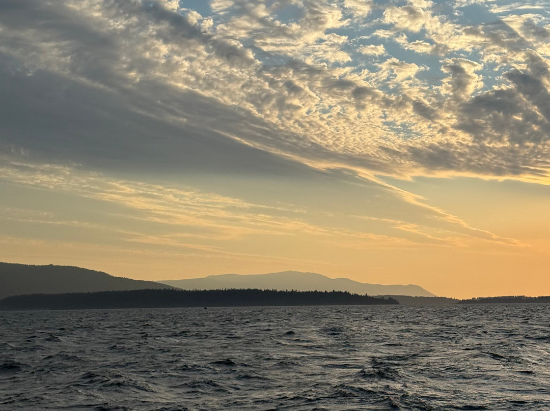 Gato Verde Adventure Sailing-贝灵厄姆必去景点