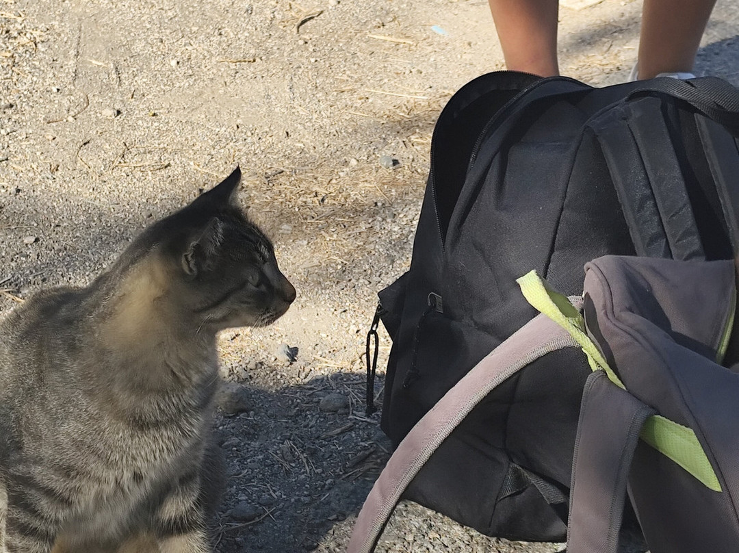 Spiaggia Lunga-Porto Ercole必去景点