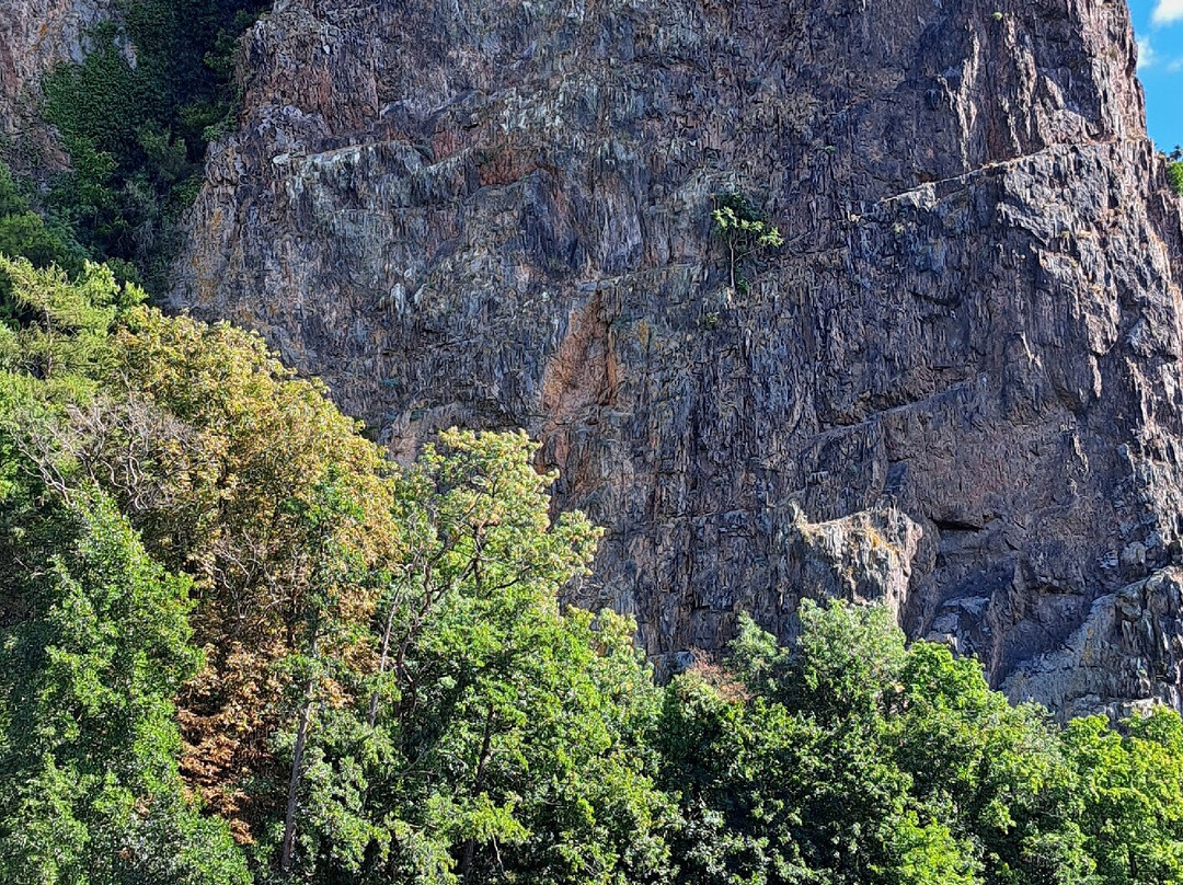 Rheingrafenstein-Bad Munster am Stein-Ebernburg必去景点