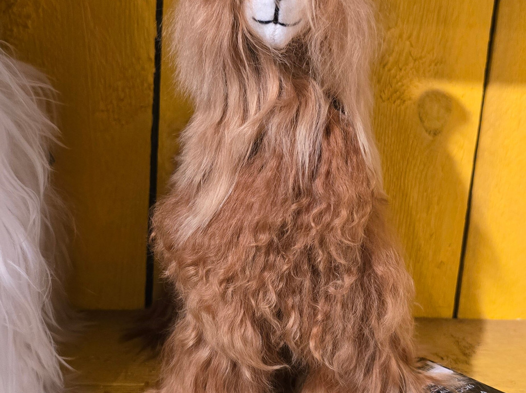 LunaSea Alpaca Farm-Ferndale必去景点