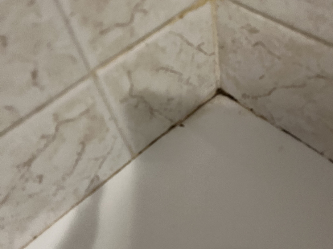 da Nonna Carla主图