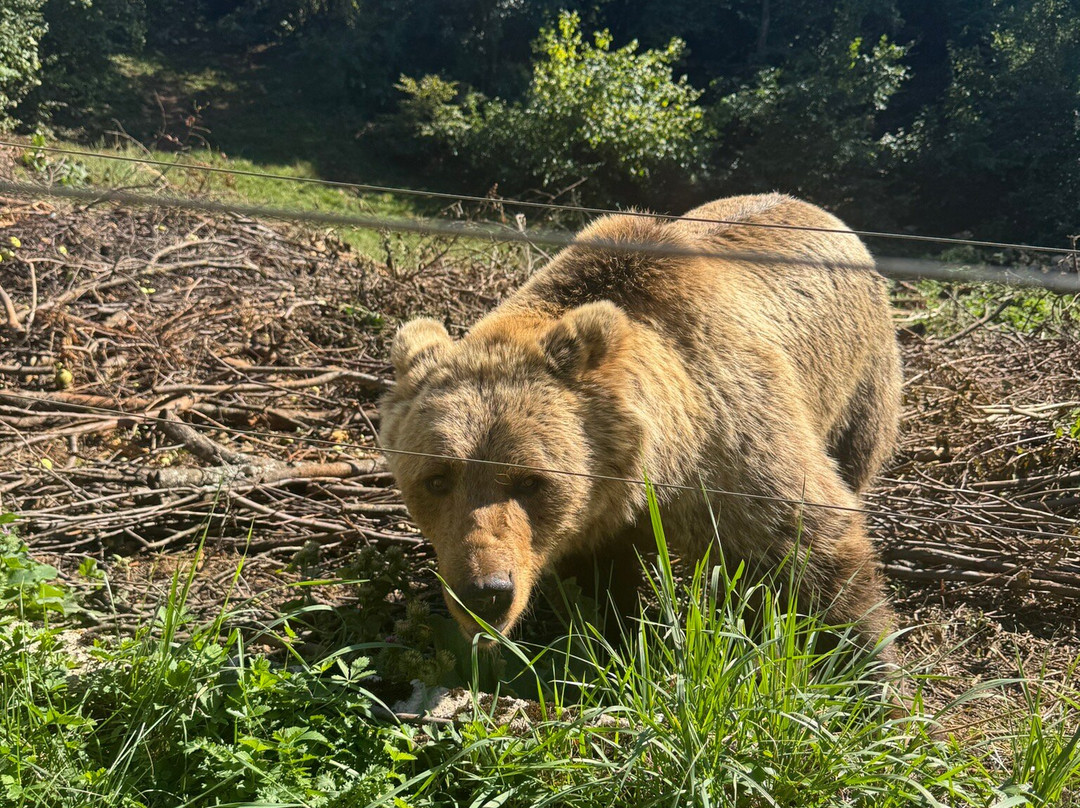 Velebit Association Kuterevo-Kuterevo必去景点