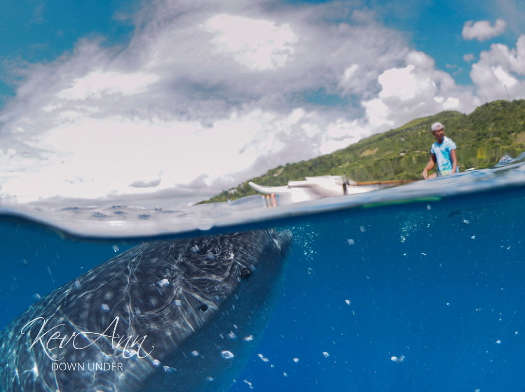 Deep Zone Dive Center-奥斯洛布必去景点