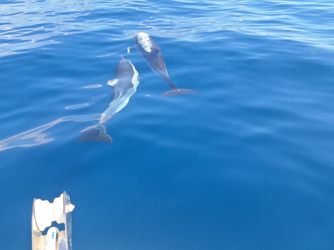 Flagman Service-Ormos Marathokampou必去景点