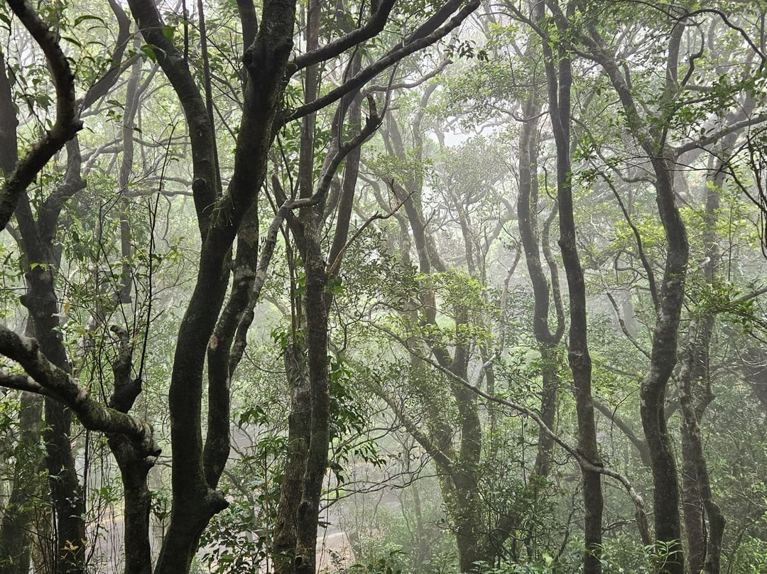 Travel  to Sri Lanka