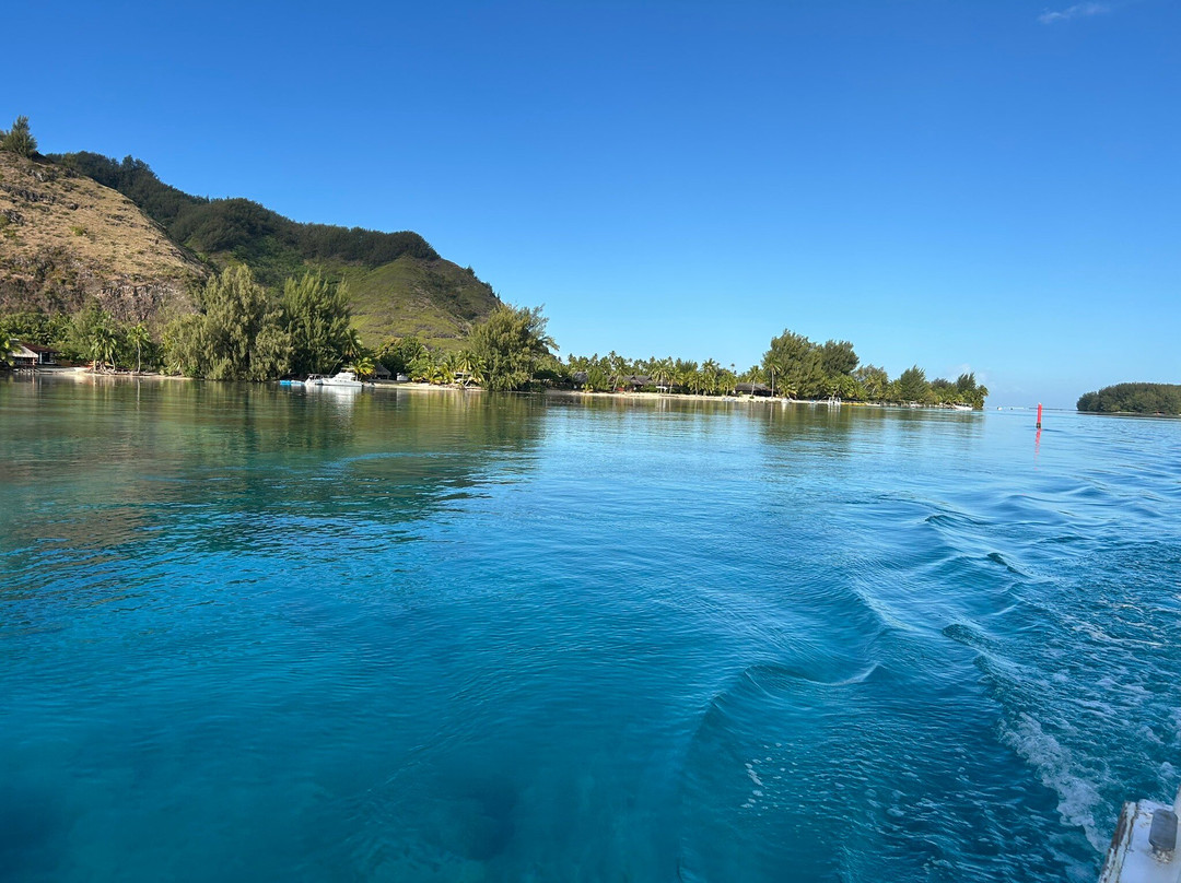 Scubapiti-莫雷阿岛必去景点