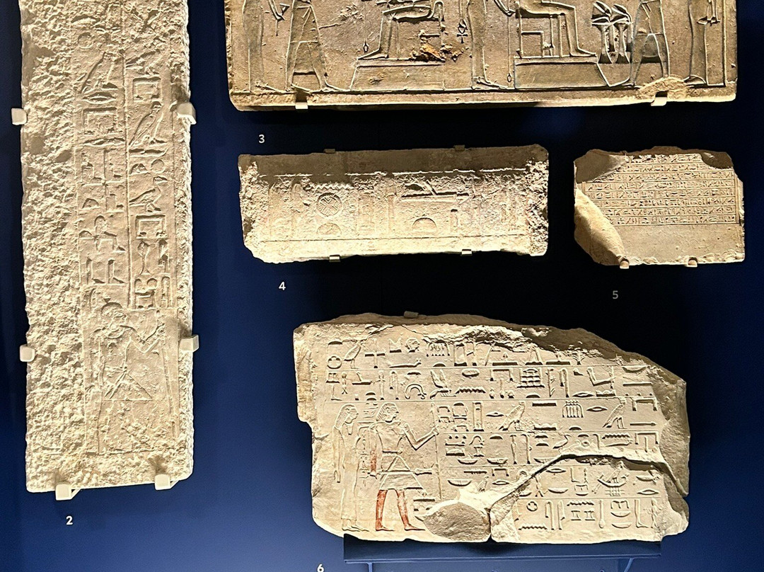 耶鲁大学皮博迪自然史博物馆-纽黑文必去景点