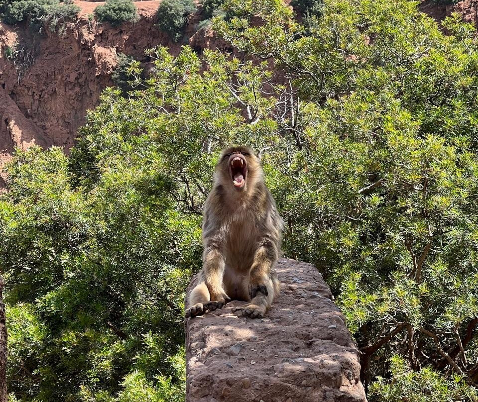 atlas trek experience-伊姆利勒必去景点