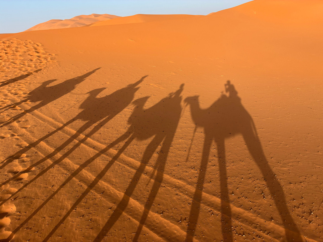 Morocco Everywhere Tours-非斯必去景点