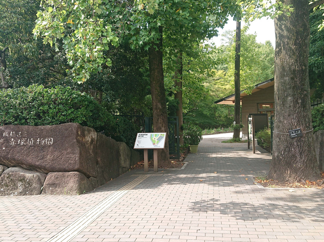 Akatsuka Botanical Gardens-板桥区必去景点