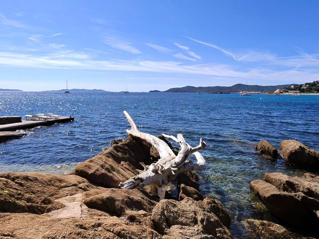 Sentier du littoral - Le Lavandou - Plage de la Fossette-莱拉旺杜必去景点