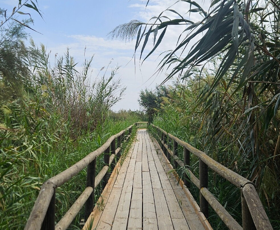 Parque Natural el Hondo-Crevillente必去景点