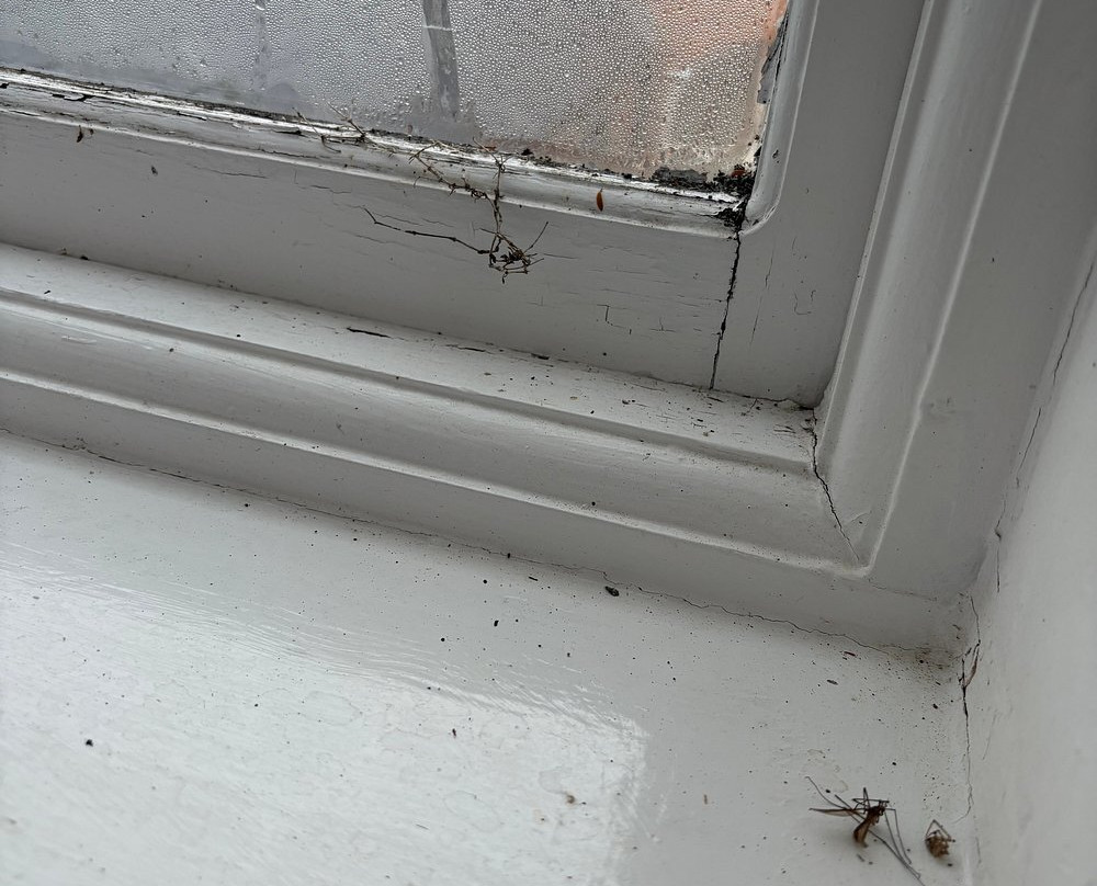 Spa at Mercure Warwickshire Walton Hall Hotel-Wellesbourne必去景点