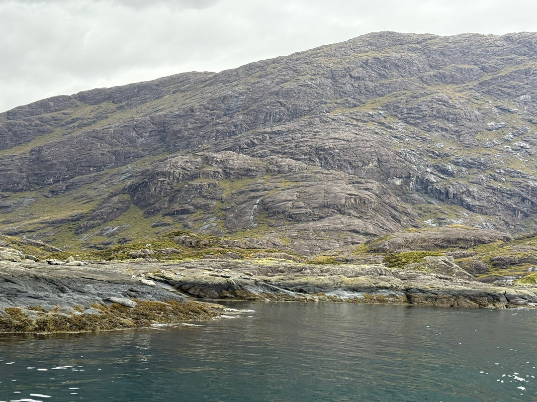 Misty Isle Boat Trips-Elgol必去景点