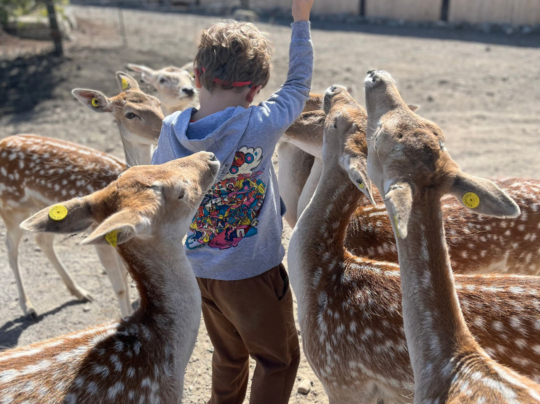 Parc Safari-Hemmingford必去景点