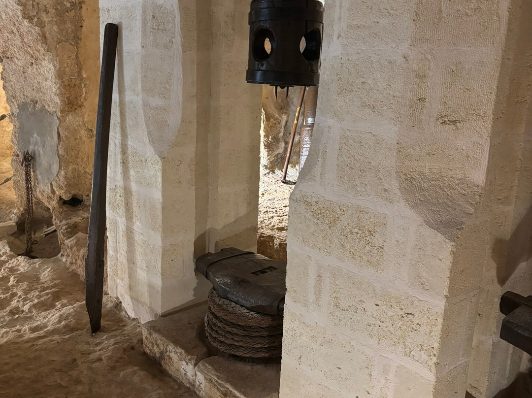 Extravergine Savoia-法萨诺必去景点