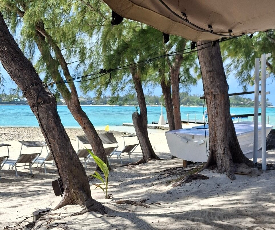 Totof Tours Mauritius-蓝湾必去景点