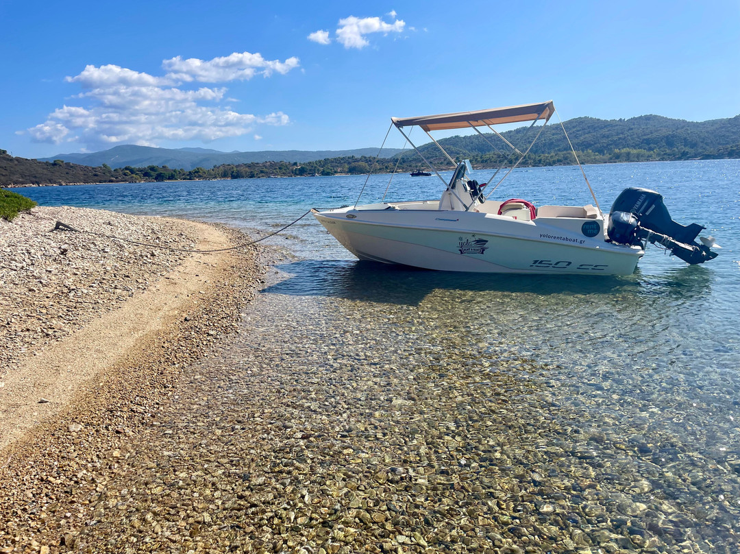 Bohemia Luxury Living主图