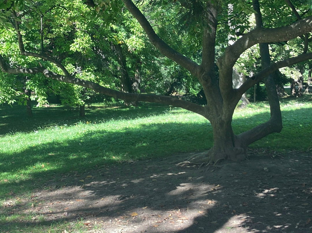 Schlosspark - Zámocký park-Pezinok必去景点