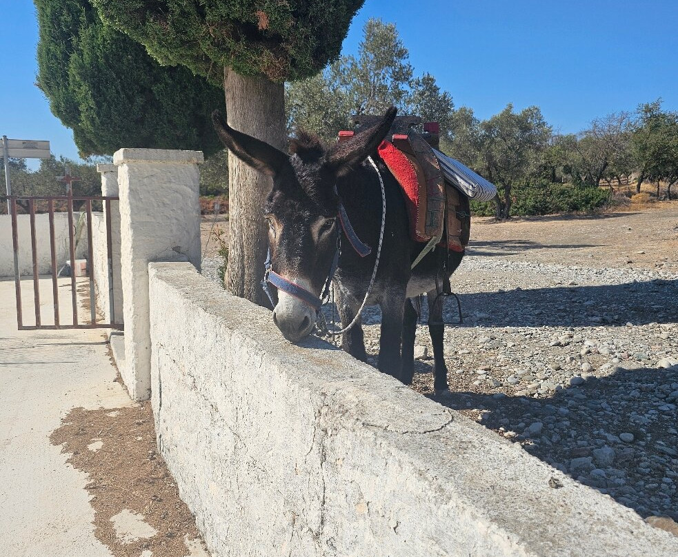 Donkey Cruise-Asklipiio必去景点