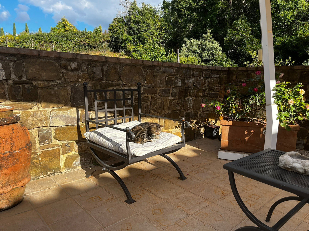 Poggio Rubino-蒙塔尔奇诺必去景点