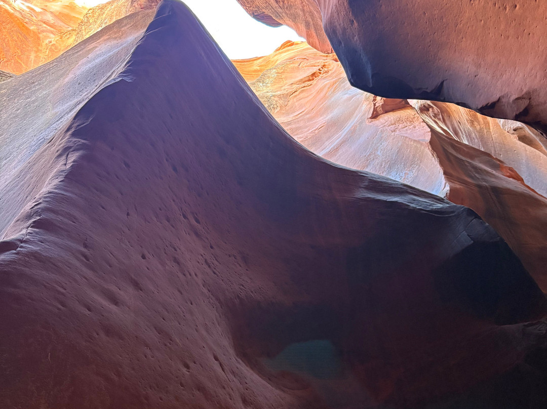 ROAM East Zion-锡安国家公园必去景点