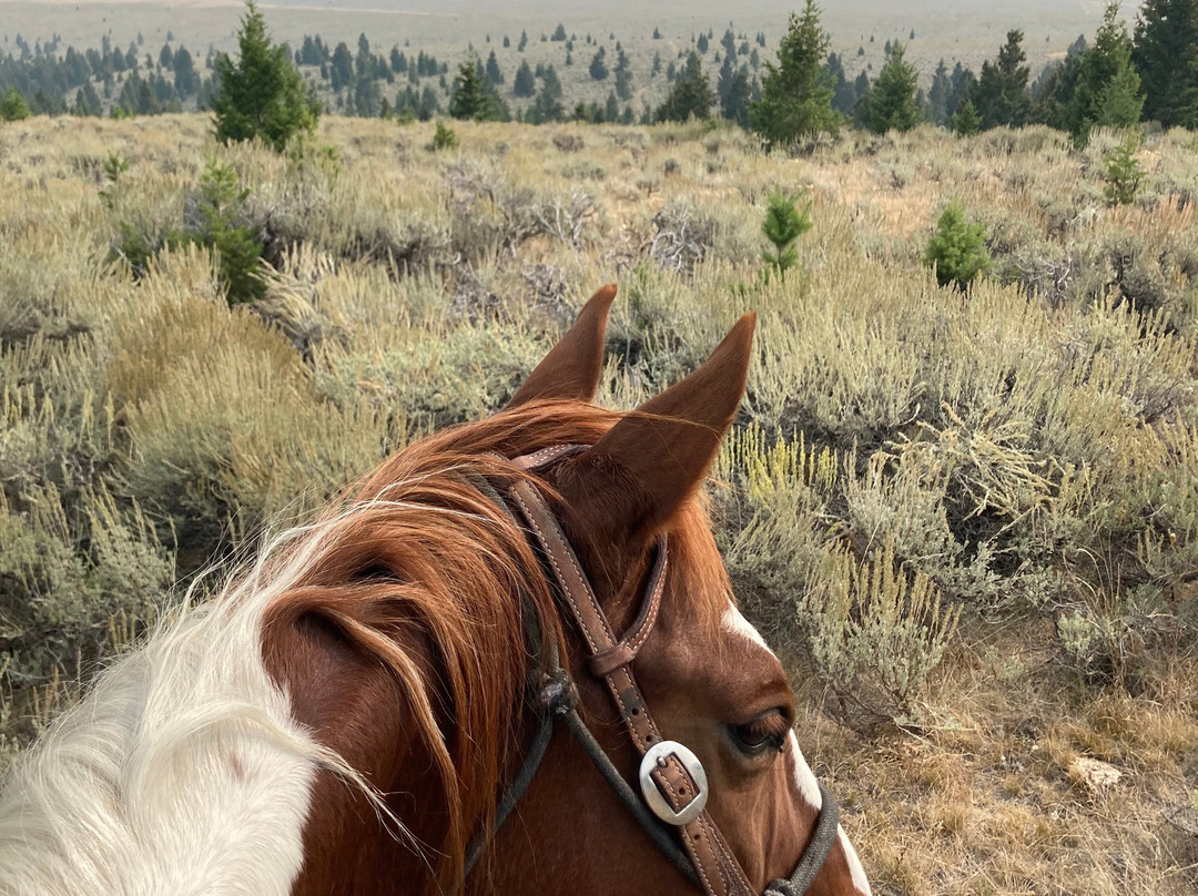 Silver Spur Ranch Idaho-Dubois必去景点