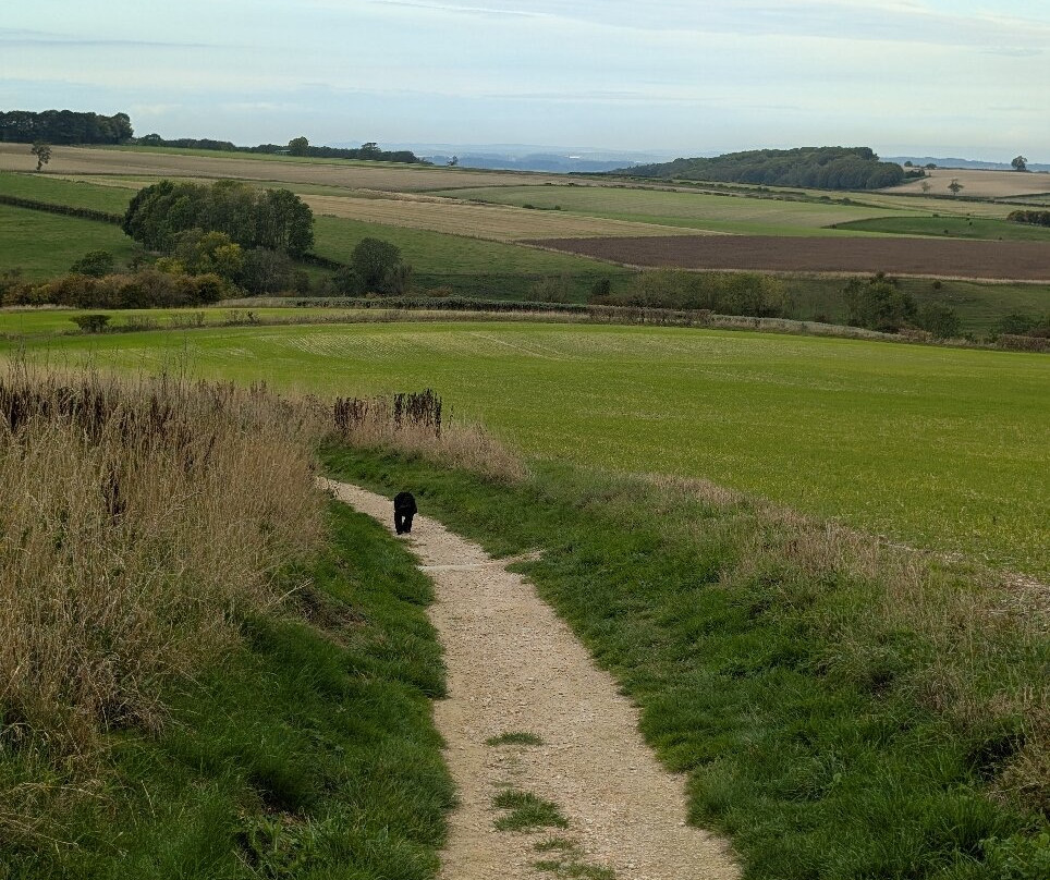 Wharram Percy Deserted Medieval Village-马尔顿必去景点