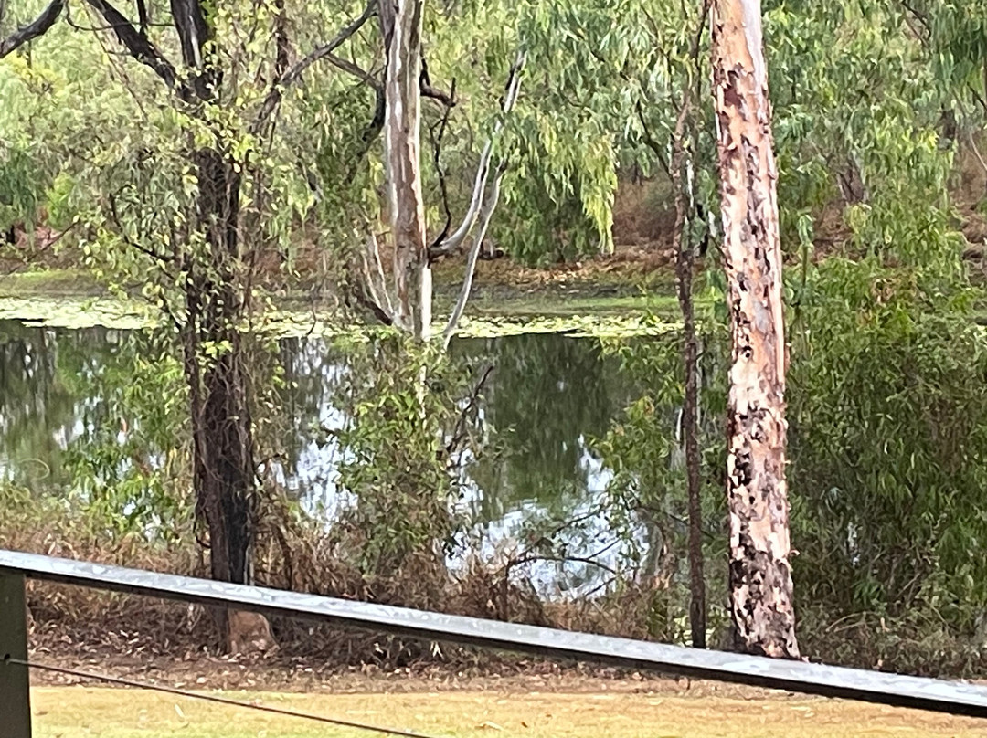 Mount Mulligan Lodge主图