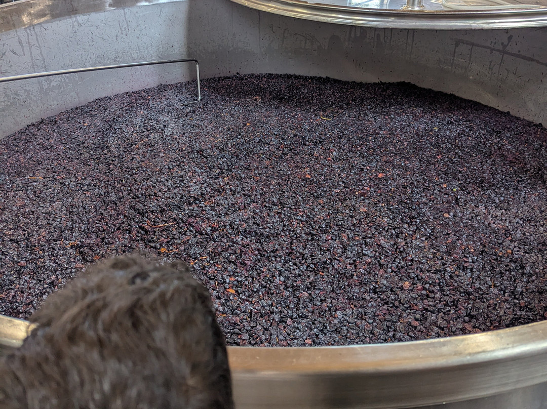 Perinet-La Morera de Montsant必去景点