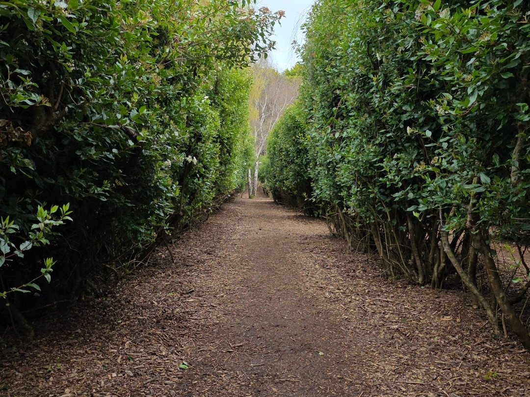 塔斯马泽亚及小人国村-Promised Land必去景点