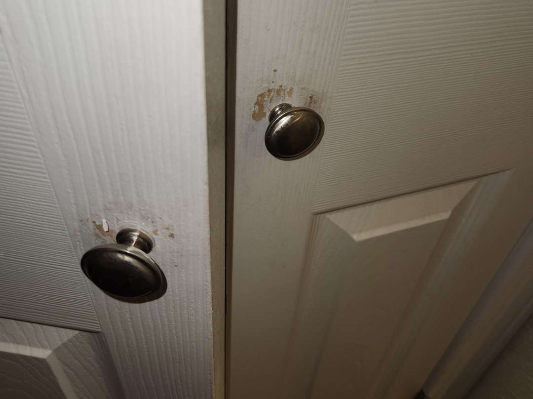 La Quinta Inn & Suites by Wyndham Detroit Utica主图