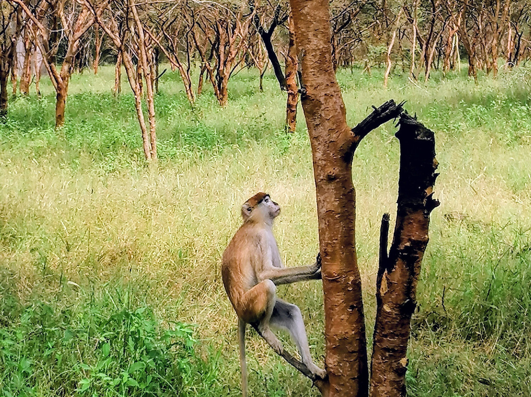 Yerim Tours Senegal-莫布瓦必去景点