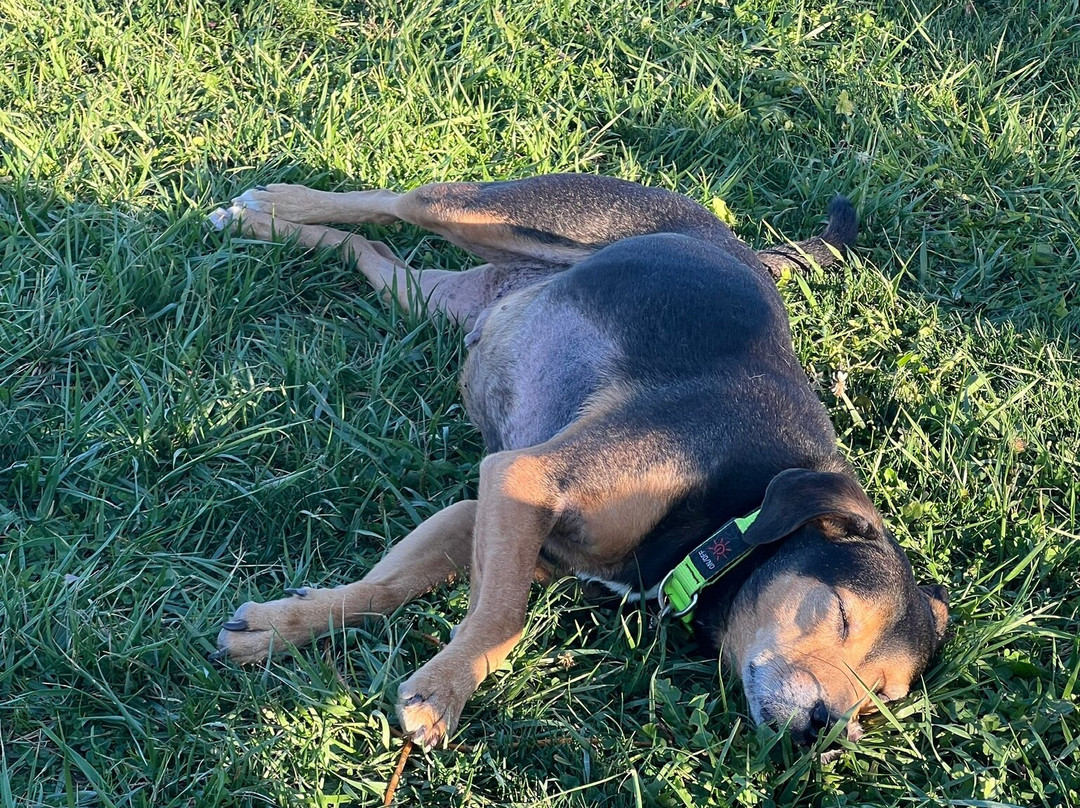 South Hill Cider-Danby必去景点