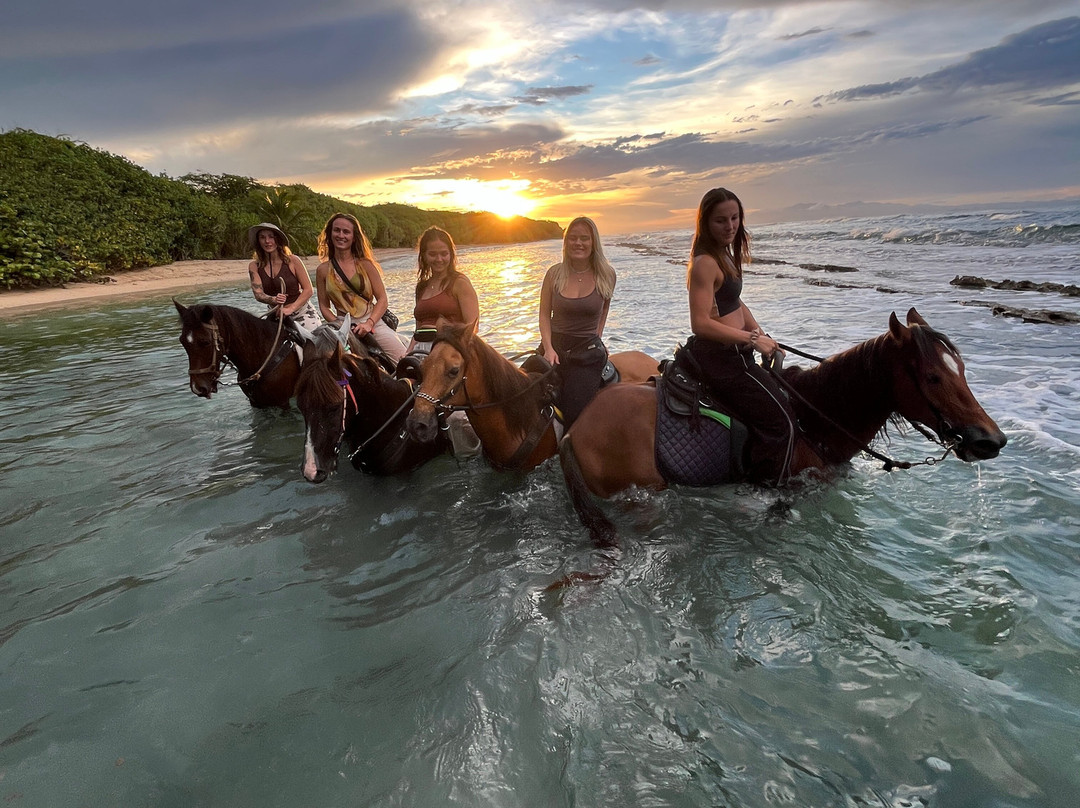 Colon Horseback Riding-维切克岛必去景点