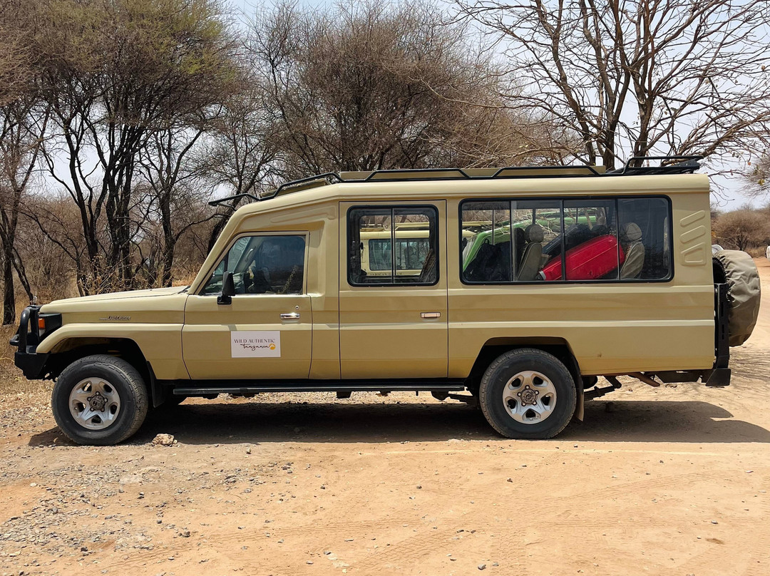 Wild Authentic Tanzania-阿鲁沙必去景点