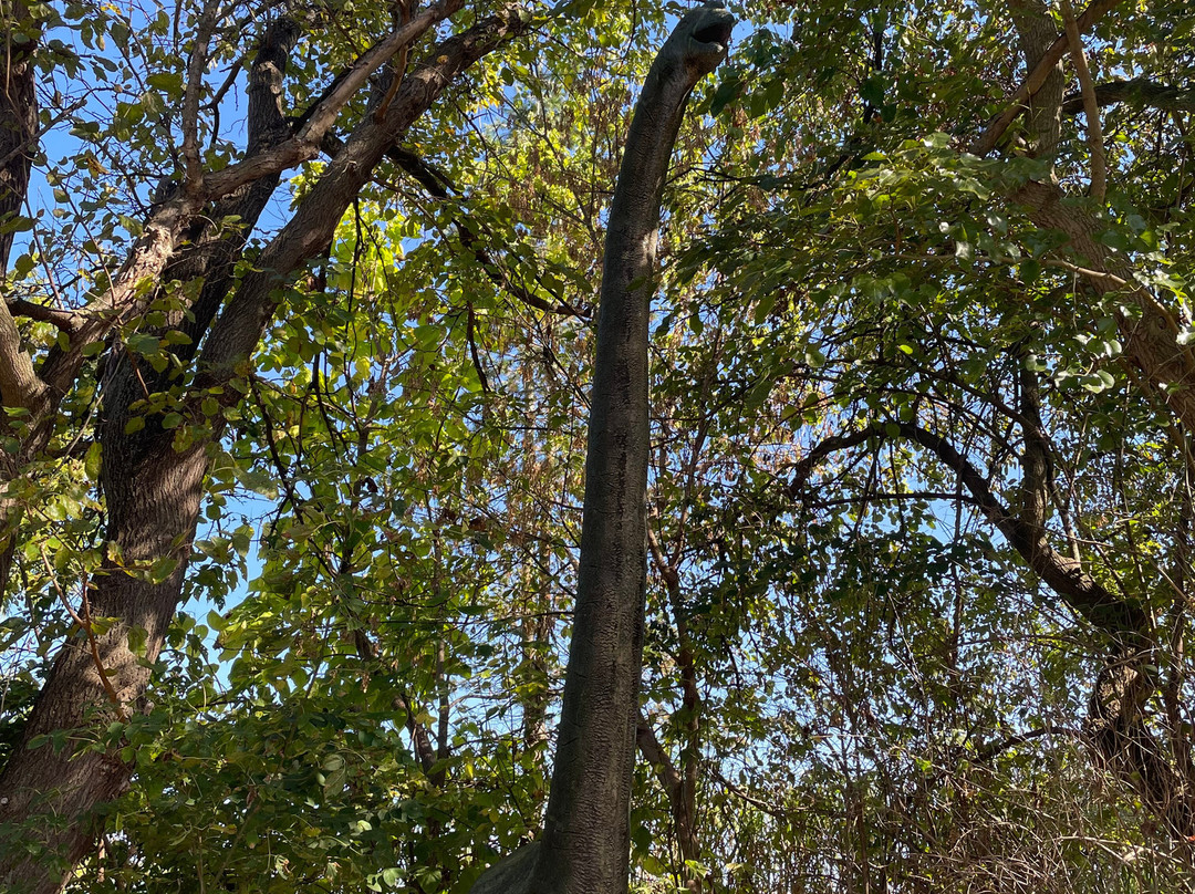 Clyde Peeling's Reptiland-Allenwood必去景点