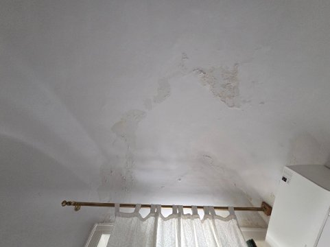 索拉蒙发林姆酒店-官方