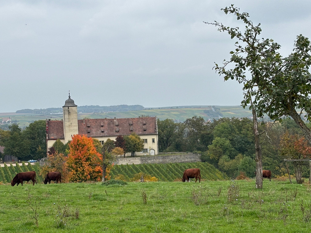 Weinspaziergang-维尔茨堡必去景点