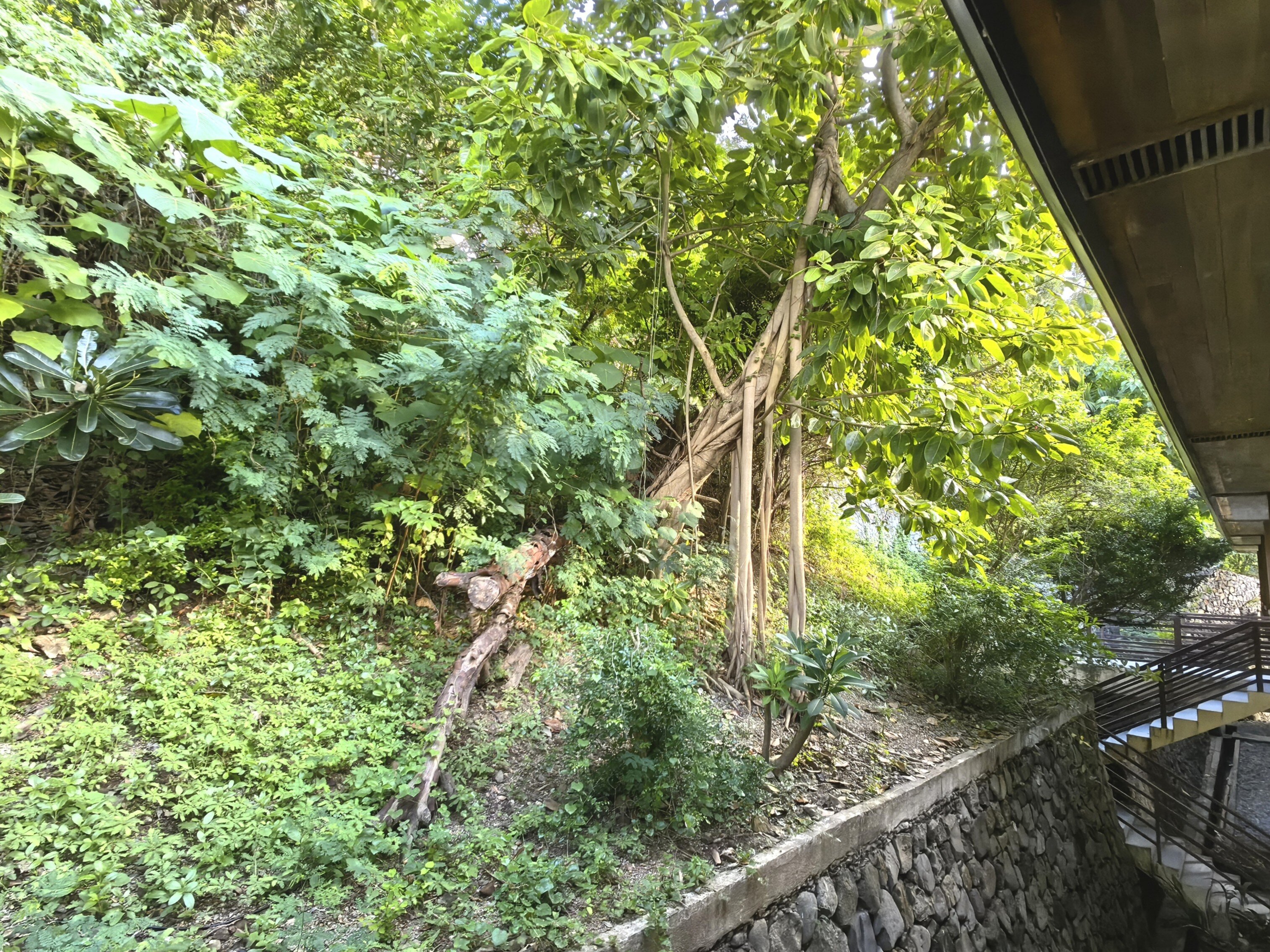 拉萨弗雷利度假酒店及Spa中心-浴室