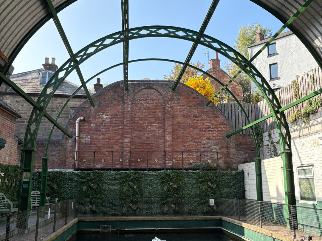 Matlock Bath Aquarium & Exhibitions-Matlock Bath必去景点