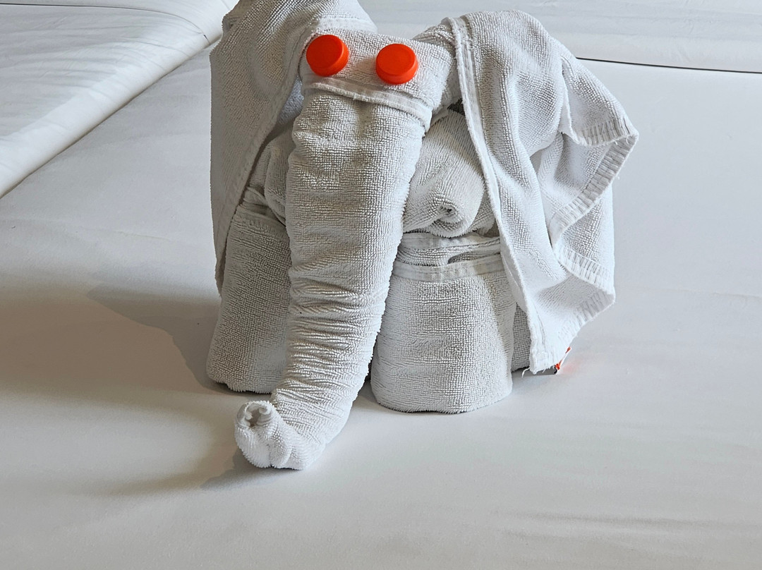 西特拉斯瓦斯卡杜瓦酒店主图