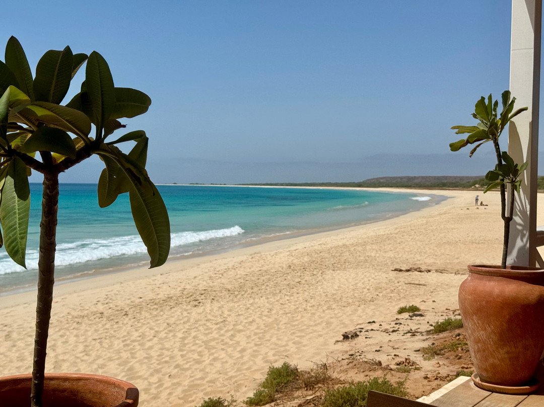 Origens Santa Monica