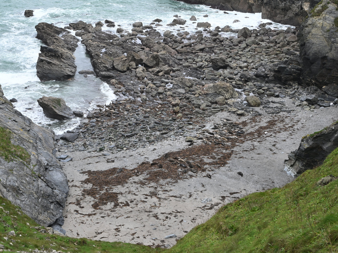 Mutton Cove-Hayle必去景点