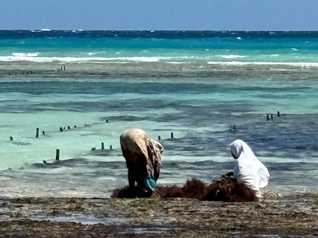 Verani Beach Hotel主图