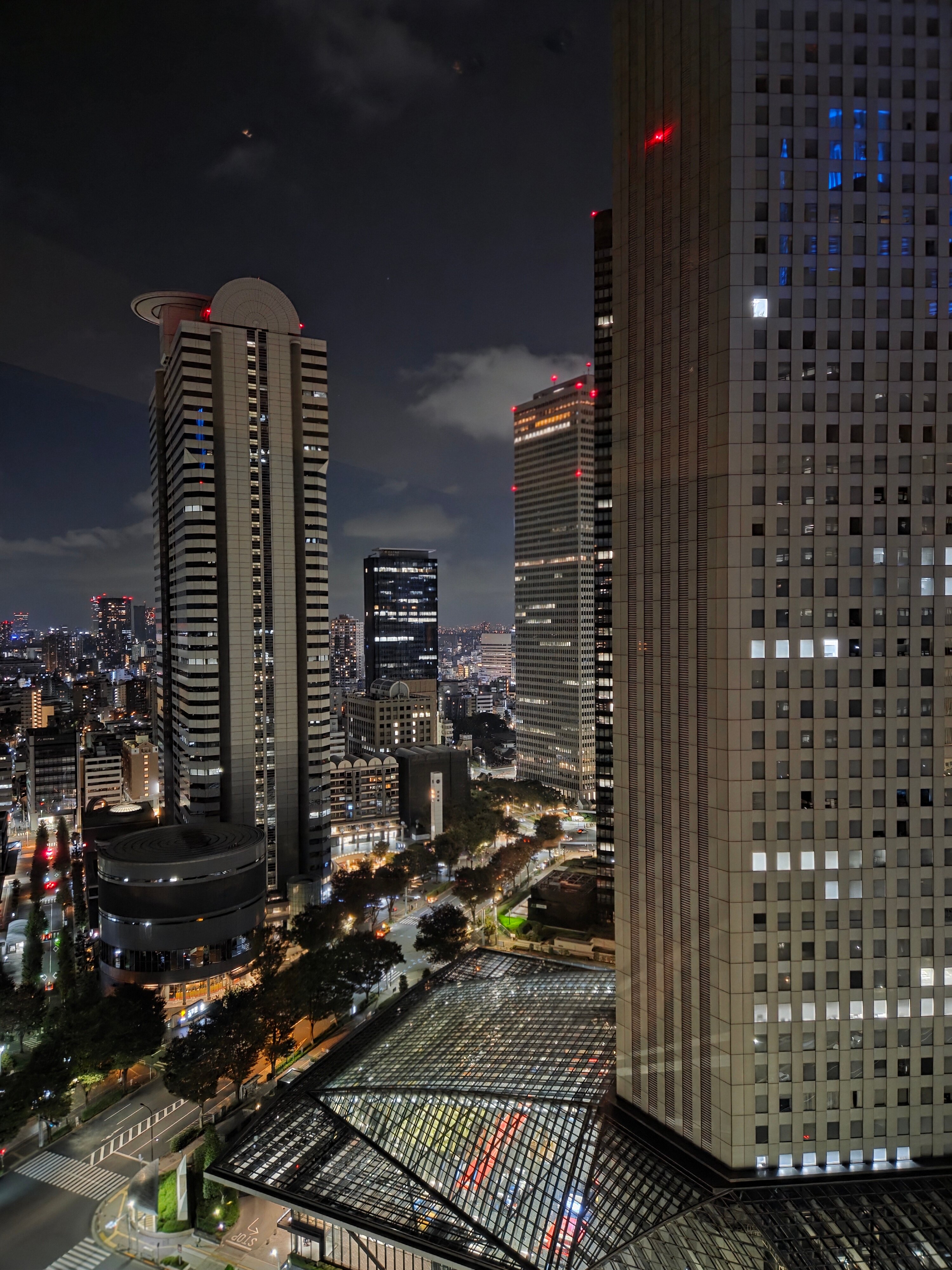 东京凯悦酒店-酒店景观