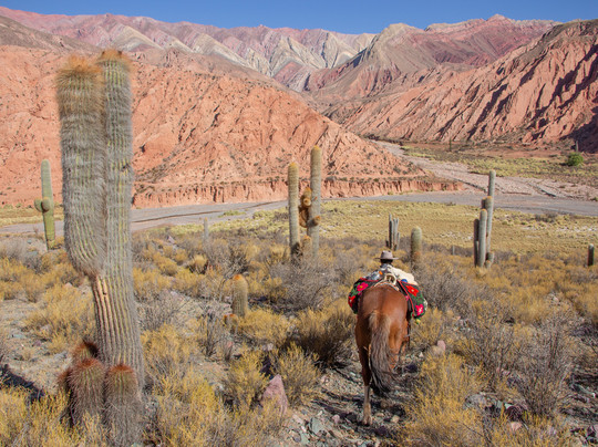 Origins Argentina Travels-萨尔塔必去景点